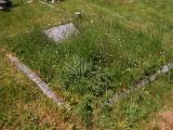 image of grave number 317814